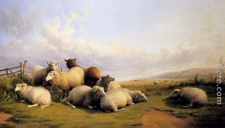 Sheep In An Extensive Landscape painting - Thomas Sidney Cooper Sheep In An Extensive Landscape art painting